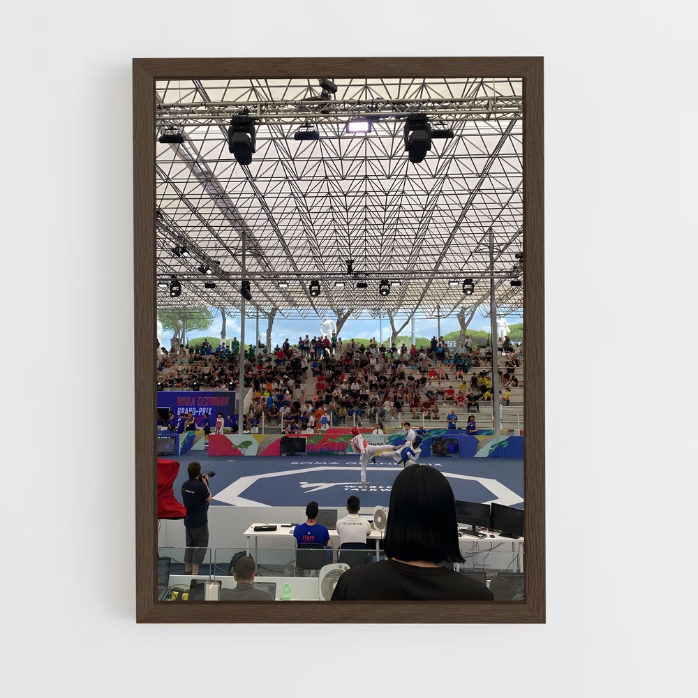 Poster Taekwondo en Fête (vue 5)
